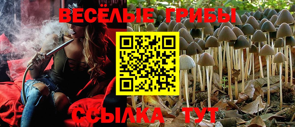 Галлюциногенные грибы Psilocybe  Вход с VPN  дарнет шоп  Заволжье 